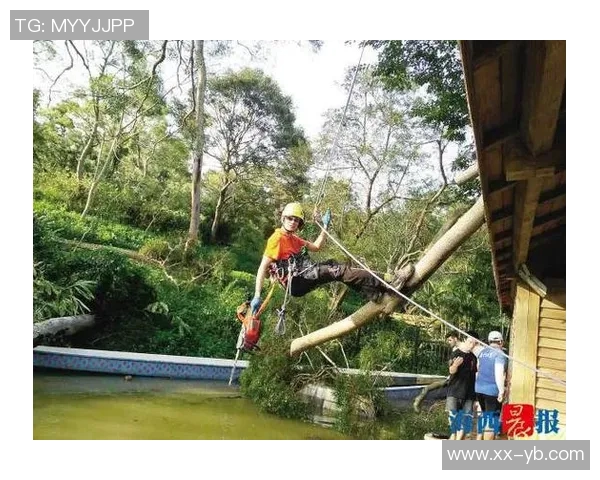 早报：这棵树刚刚爬上去就匆匆下来了引发众人热议